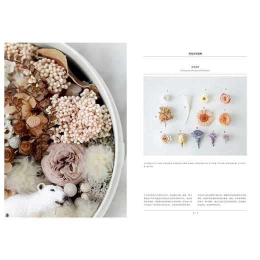 【官微十二月重点书单】在家森呼吸系列（套装3册） 室内绿植手册+干燥植物手册+永生植物手册 茹茹萍 著 家居生活 家居装扮风格 中信 商品图3