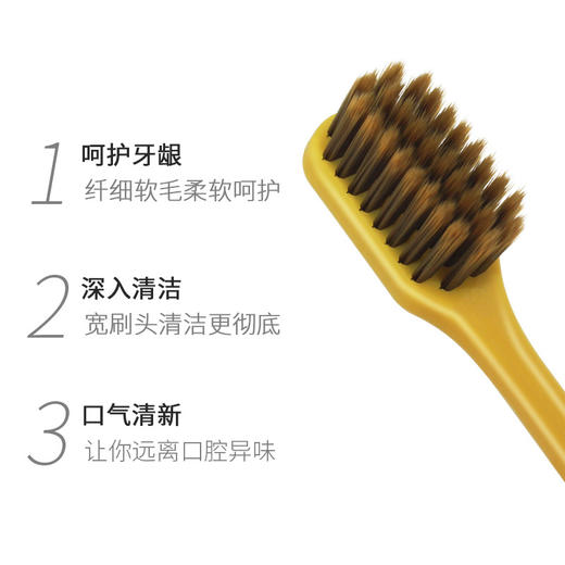 【门店直发】蜜梨MATLEE进口深洁倍护细毛家庭便携装儿童家用成人牙刷 商品图3