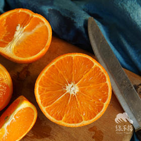 生态爱媛橙 | 合作生产 *Eco-Love luca brasi orange | Coproduction