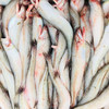 【野生】东海九肚鱼（豆腐鱼） 450克 去头 商品缩略图4