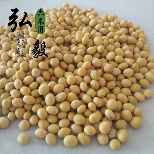 【弘毅六不用生态农场】六不用 自留种 大豆粒 老品种 1斤/份 商品图1