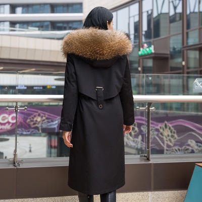 CJ-2020新款青根貂整皮内胆貉子大毛领女士派克服 商品图4