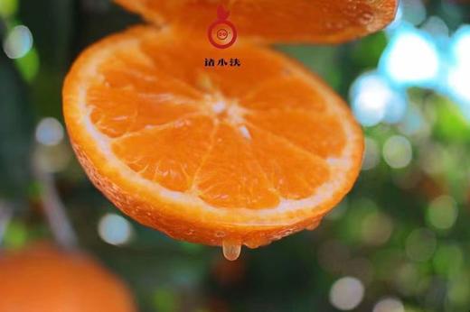 云南沃柑， 天然果冻，果肉细腻，汁水丰盈，彩云之南，蓝天白云下，甜蜜的小幸运 商品图4