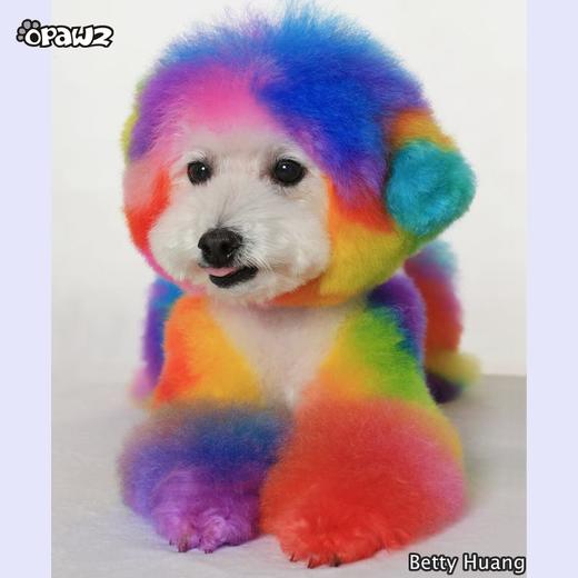 半持久宠物染色剂-草莓红Strawberry Red OPAWZ小爪印 商品图6