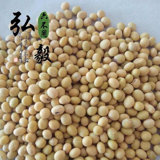 【弘毅六不用生态农场】六不用 自留种 大豆粒 老品种 1斤/份 商品图0