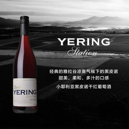 【草莓樱桃】玉麟庄园细叶黑皮诺干红葡萄酒 2023 Yering Station Little Yering Pinot Noir 商品图0
