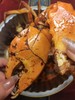 【超大非洲青蟹】 商品缩略图6