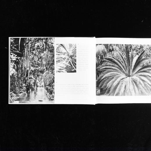 邱园的故事 The Story of Kew Gardens in Photographs 商品图5