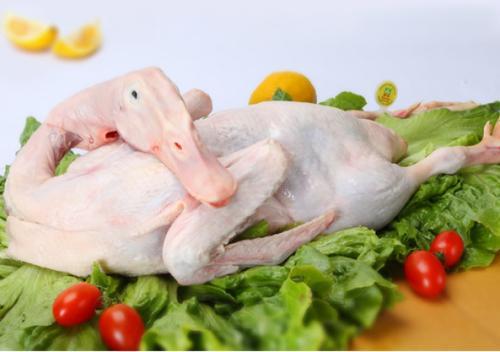 鲜活海鸭不带皮 - 打荷鲜生-汕头