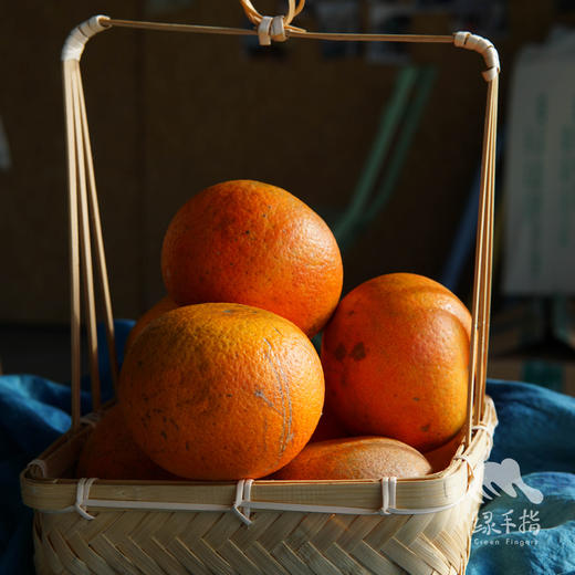 生态爱媛橙 | 合作生产 *Eco-Love luca brasi orange | Coproduction 商品图2