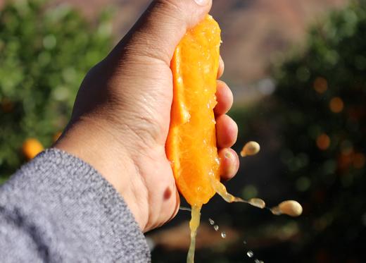 云南沃柑， 天然果冻，果肉细腻，汁水丰盈，彩云之南，蓝天白云下，甜蜜的小幸运 商品图3