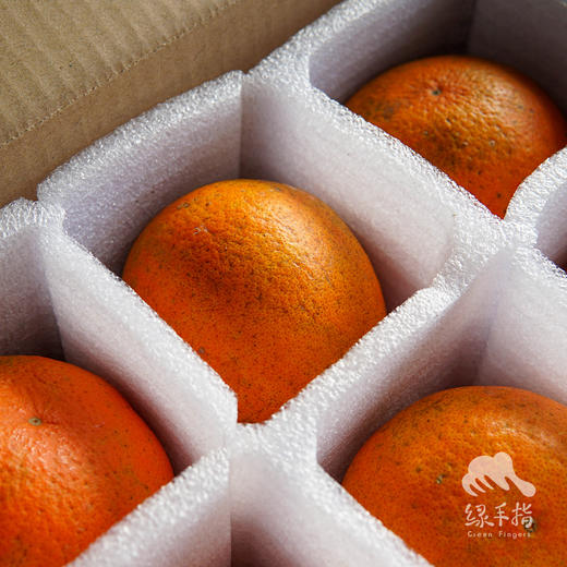 生态爱媛橙 | 合作生产 *Eco-Love luca brasi orange | Coproduction 商品图4
