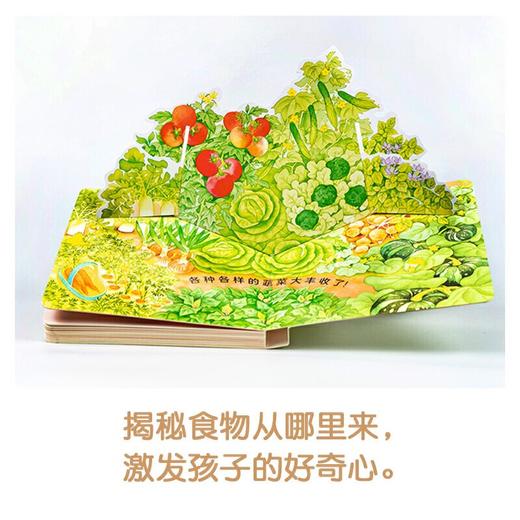 【0-3岁】好好吃的水果蔬菜：全3册 商品图4