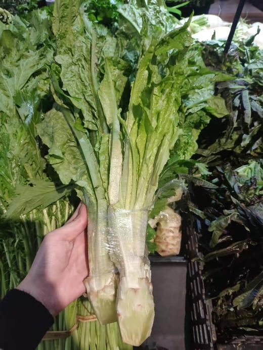 莴苣（带叶）约500g 商品图2
