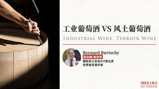 工业葡萄酒 VS 风土葡萄酒 商品图0