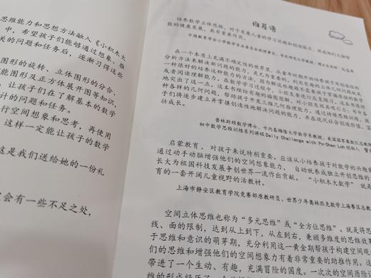 《Think Joy：小积木大数学 立体王国大冒险（10堂数学思维课）》 商品图4