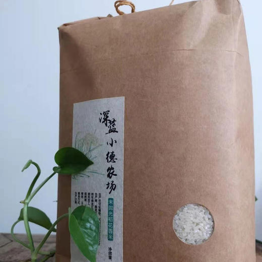 【产地直发包邮】小德家稻花香米（未抛光米、胚芽米、糙米） 商品图2