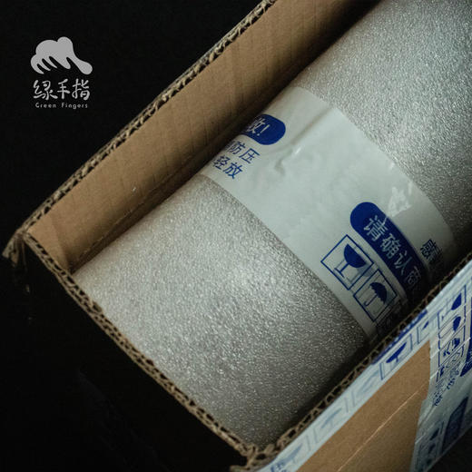 野生纸皮核桃仁（圆通）| 合作生产* Wild walnut meat | Coproduction 商品图4