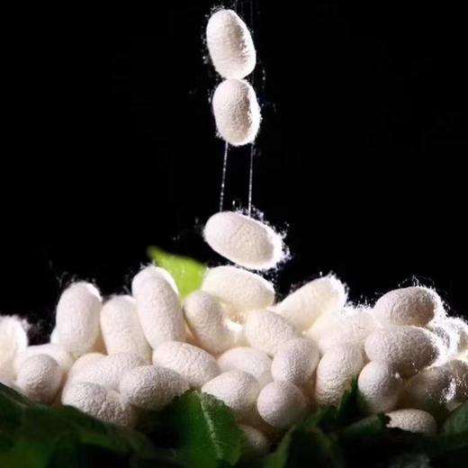 优品堂“芳菲国色”桑蚕丝90方巾防晒喷绘真丝巾 商品图3