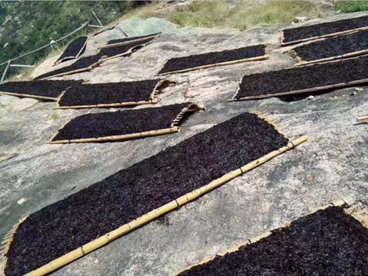 头水紫菜 商品图5