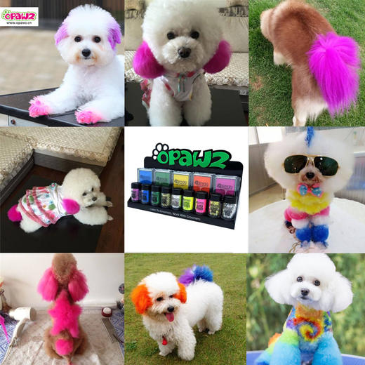 OPAWZ小爪印快染彩盒 宠物一次性染色剂/闪光粉 商品图4