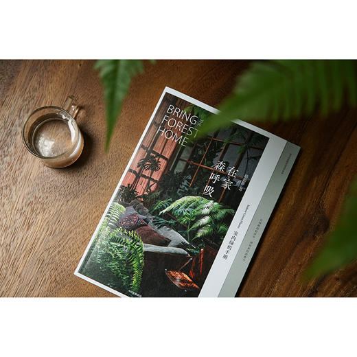 在家森呼吸 室内绿植手册 茹茹萍 著 从家居风格搭配 日常养护到植物手作 打造森林系小家 养花书籍 中信 商品图1