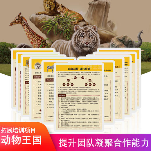 动物王国卡片套装素质拓展团队道具 商品图0