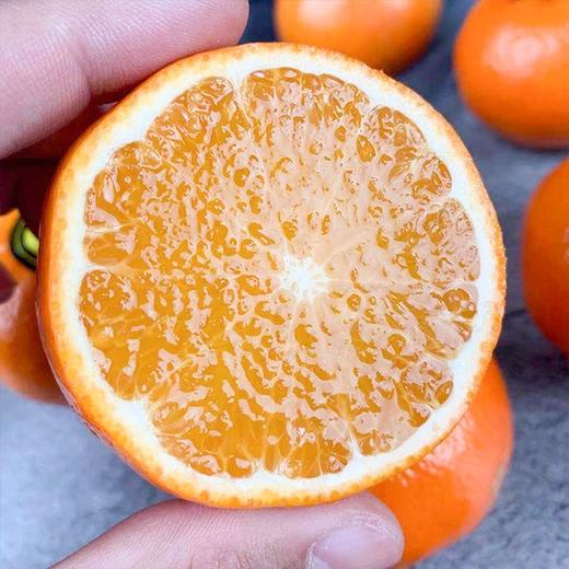 【北海沃柑】10斤/箱，皮薄香甜多汁 商品图2