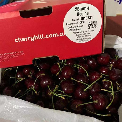 【空运·澳洲车厘子regina】4斤/盒 商品图2