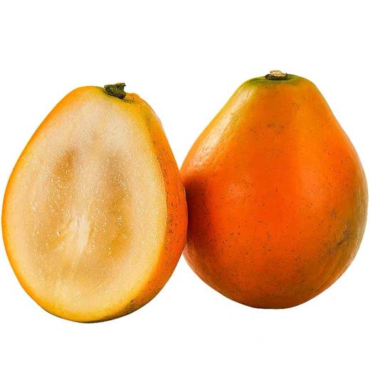 2025年新产季融安脆蜜金桔 商品图7