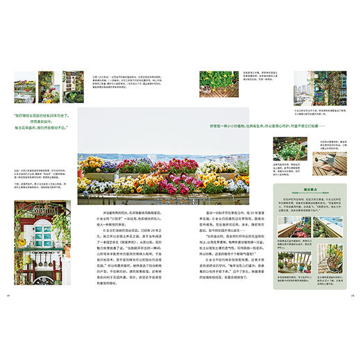 动手打造阳台花园 主妇与生活社 著 绿植 室内装饰 生活美学 生活百科 治愈系生活 手作 中信 商品图4
