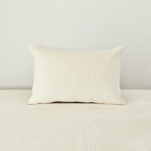 [现代房屋] 新款 韩国 超细纤维枕头 超柔软触感枕头 40x60 白色JPY带授权招加盟代理 商品图0