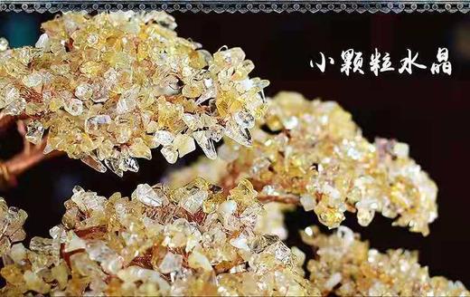 水晶树 商品图3