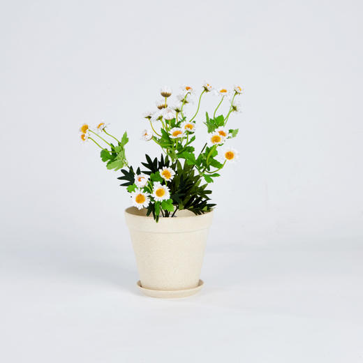 [现代房屋] 新款 韩国 环保基础花盘 室内迷你花盘 15x14CMJPY带授权招加盟代理 商品图2