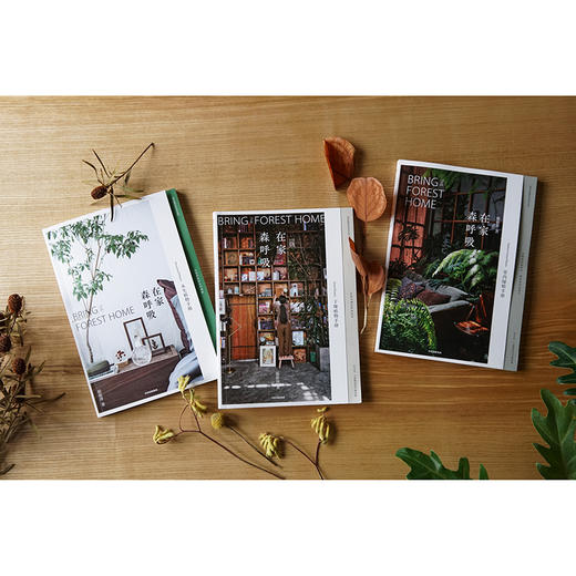 在家森呼吸 室内绿植手册 茹茹萍 著 从家居风格搭配 日常养护到植物手作 打造森林系小家 养花书籍 中信 商品图3