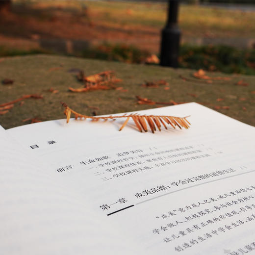 丰富学习经历 如歌式课程的愿景与深度 特色课程建设丛书 适用于提升学校课程品质 课程变革 正版 华东师范大学出版社 商品图1