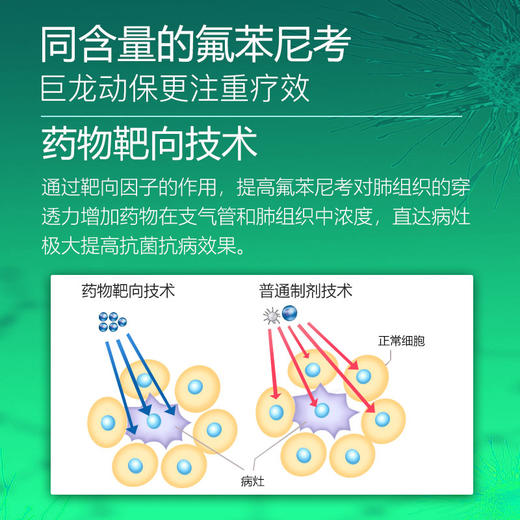 【氟乐20】巨龙动保氟乐-20氟苯尼考粉20%100g/500g 商品图2
