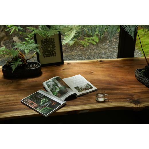 在家森呼吸 室内绿植手册 茹茹萍 著 从家居风格搭配 日常养护到植物手作 打造森林系小家 养花书籍 中信 商品图2