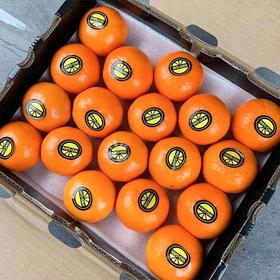 【北海沃柑】10斤/箱，皮薄香甜多汁