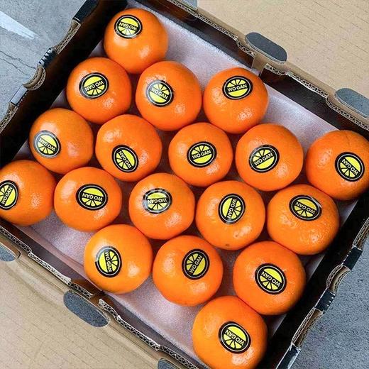 【北海沃柑】10斤/箱，皮薄香甜多汁 商品图0