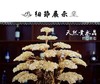 水晶树 商品缩略图12