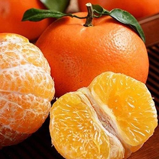 【北海沃柑】10斤/箱，皮薄香甜多汁 商品图4