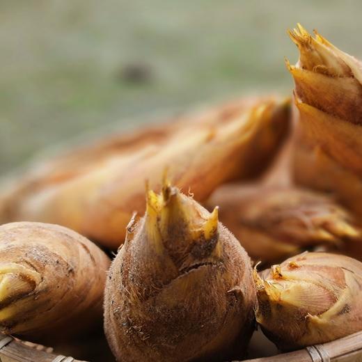 深山冬笋 3斤（每日早上新挖） 商品图1