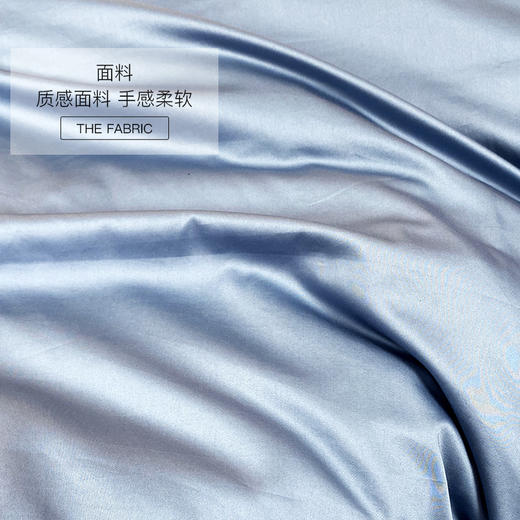 京彩 精致奢华植物珍丝四件套 商品图8