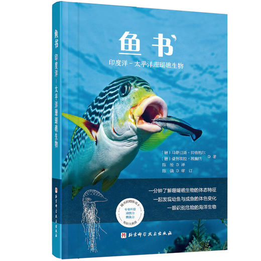 【图书】《鱼书》错过已经绝版的“鱼书”，可别错过这次真•鱼书了！ 商品图0