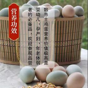 （乡村振兴商品）雨露河谷 土鸡蛋