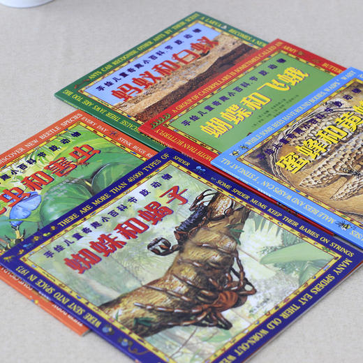 手绘儿童奇趣小百科.节肢动物(全5册) 商品图1