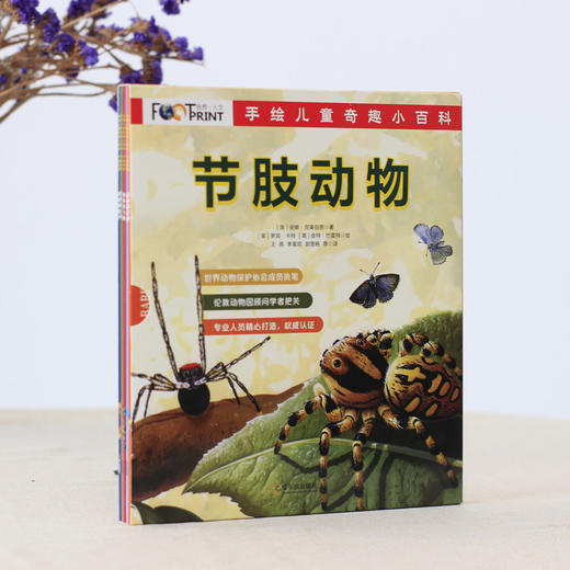 手绘儿童奇趣小百科.节肢动物(全5册) 商品图4