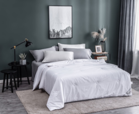 蚕花娘娘100桑蚕丝被慕白