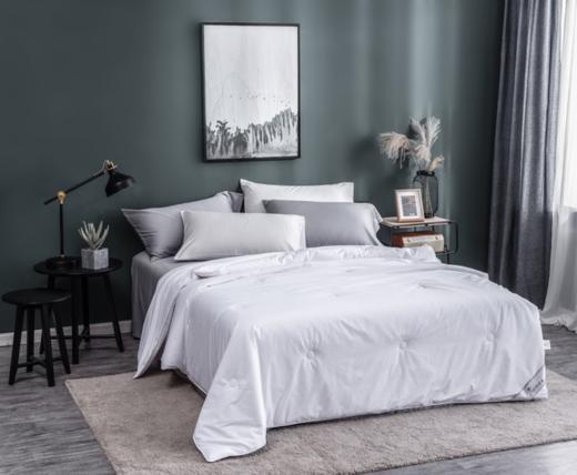 蚕花娘娘100桑蚕丝被慕白 商品图0